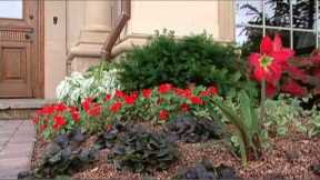 Landscape Design with Garden Design Associates Inc.