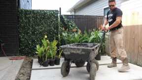 LANDSCAPING PLANNING AROUND THE POOL