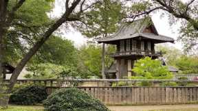 80 Amazing Garden Design Ideas - Landscape Design Ideas.