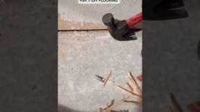 Old carpet to new laminate floors! #diy #remodel