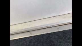 Outdoor Carpet replacement