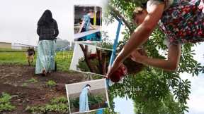 Gardening Through The Years | DIY garden projects + Caring for the Community Garden etc....vlog 156