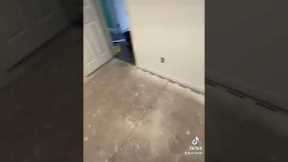 INSTALLING A ROOM OF CARPET!!!