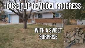 House Flip Remodel Progress with a Sweet Surprise for my Plumber