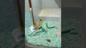 Carpet installation to Malabon tinajeros ( Cripsgean )original video no copyright #fypシ #fypシ゚viral