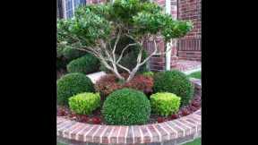 FRONTYARD LANDSCAPING IDEAS | DIY GARDEN DESIGN 2023