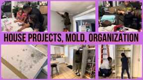 HOUSE PROJECTS, MOLD AND PANTRY DIY ORGANIZATION / LAUNDRY & 100 DAYS OF SCHOOL PROJECT / SMTV