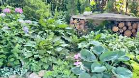 Creating a Garden Bench with Natural Materials Inspired by Gardener's World Live!