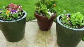 100 garden and backyard landscape design ideas