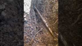 Plumber Fixes Major Water Leak! #plumbing #shorts