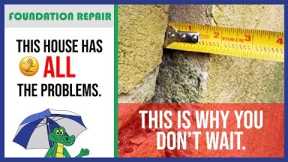 🐊 Foundation Repair: Why NOT To Wait