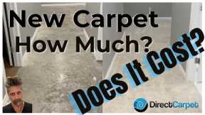 New Basement Carpet Cost 2022