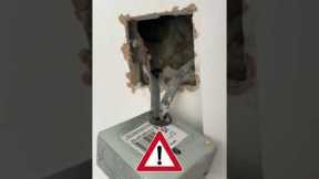 Protect Your Home's Wiring! Electrical Safety Tips You Need to Know