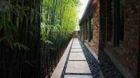 Backyard Garden Ideas #backyard #garden #landscape #green #plants #indoor #rear #courtyard #viral