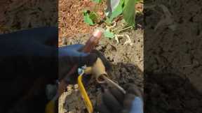 Outdoor Leak Repair: Cleaning and Soldering the new Shut-Off Valve and Pipe