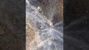 Yard Line Water Leak Repair