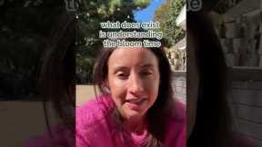 Landscape Design Rules ep. 2