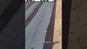 How to properly fix a leak on a flat roof? #roofrepair