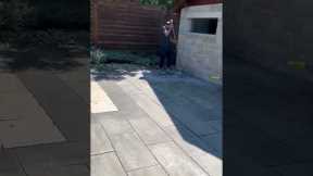 $350K+ Luxury Pool & Cabana Build Toronto - 20x50 Custom Pool with Baja Shelf