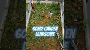 60m² Garden Landscape - Simple Tips for a Beautiful Backyard!