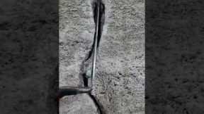 Bigger on the Inside, foundation crack repair. #shorts #concreterepair #dw0rtorial #tipsandtricks