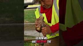 Leak Water Line Repair