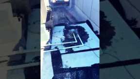 Can You Spot the Leak Before We Do?