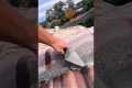 Roof Repair Hack: Fixing Leaks with