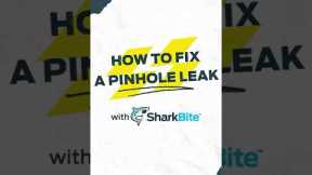 Leaky Pipe Repair Using SharkBite Max Fitting