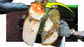 a HEAL full of FLUID??