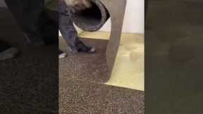 Watch a Pro Laying Down New Carpet