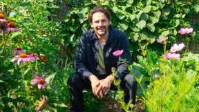 5 Design Tips for a Breathtaking Food Garden on Any Budget