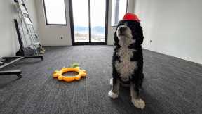 DIY Carpet Tiles: How We Installed Them