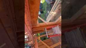 Roof Framing Progress on a Home Addition | Step Up Construction Bay Area