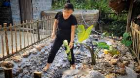 Simple Village Garden Design | Creating a Beautiful Backyard with Natural Stones || Ly tieu Ly 