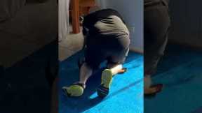 Installation of new underlay #carpetinstallation #flooring #diy #homeimprovement #carpet #renovation