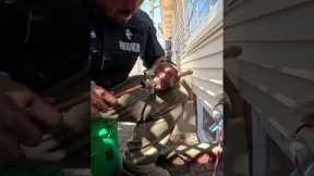 Common Plumbing Repairs: Main Line, Spigot, & Toilet