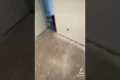 INSTALLING A ROOM OF CARPET!!!